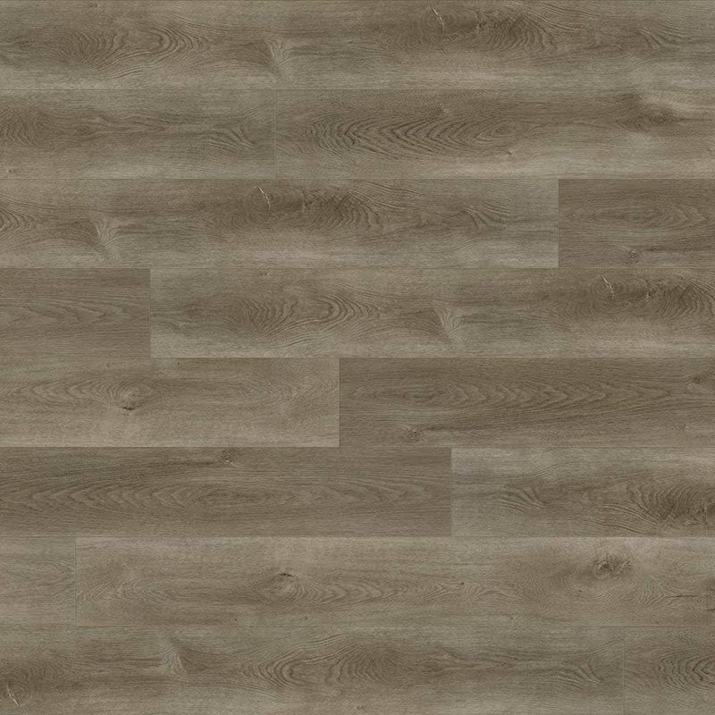 Shale, Gris clair