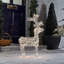 Christmas Decoration-35361979