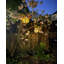 Daliya 28cm Solar Powered Integrated LED