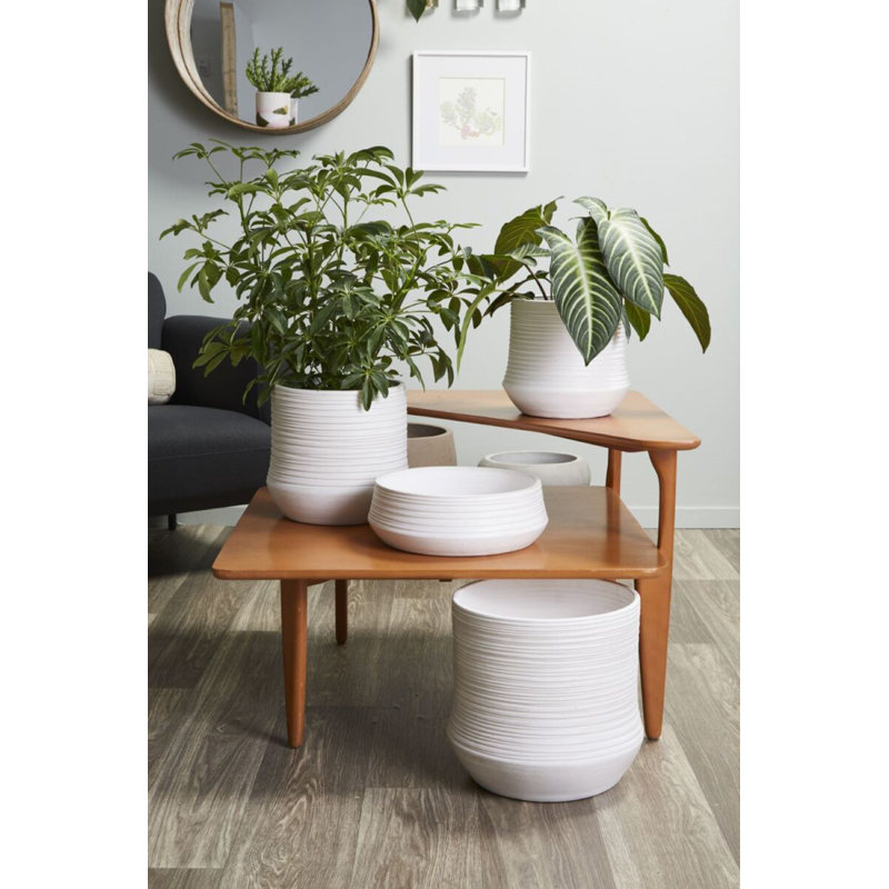 Canella Round Ceramic Decorative Bowl with Thick Rim