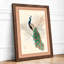 Peacock with Botanicals Japandi - Framed Print-661770077-661770081