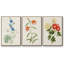 Flowers of the Seasons I - Ensemble de 3 cadres flottants sur toile-97794708-97794709