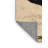 Washable Ostrich Wildlife Area Rug-633555296