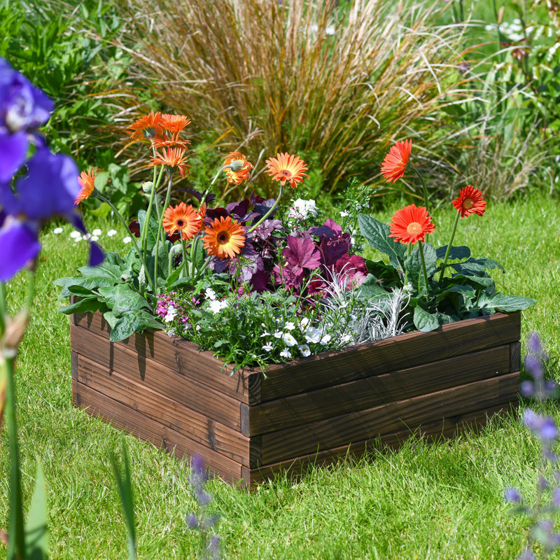 Ayube Wood Raised Garden Bed, 22.50cm H x 60cm W x 60cm D
