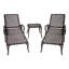 1 chaise longue en fonte d'aluminium, brun