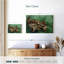Crabe Brampt sur son dos-107855529