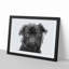 Pug Dog in Abstract - Framed Print-55768029-55768034