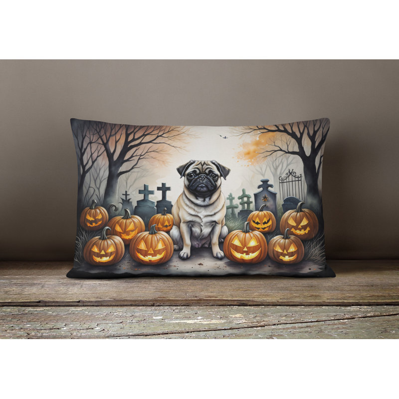 Other/No Pattern Outdoor Throw Pillow