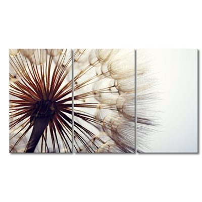 3 Piece Stretched On Wooden Frame Print on Canvas