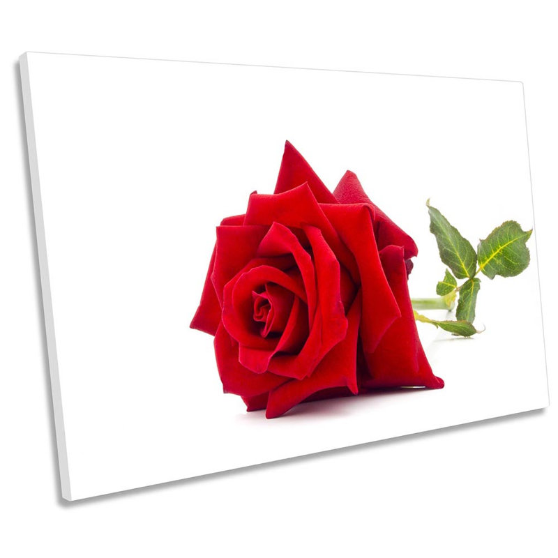Red Rose Flower - Wrapped Canvas Print, 91.4cm H x 137.2cm W x 4cm D