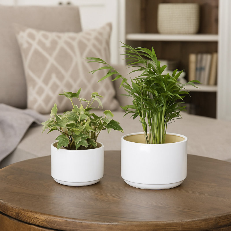 Ensemble de 2 pots à fleurs Accent, base large, céramique blanche minimaliste moderne
