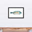 «Patterten Fish» sur impression sur toile-1002162847-1000634951