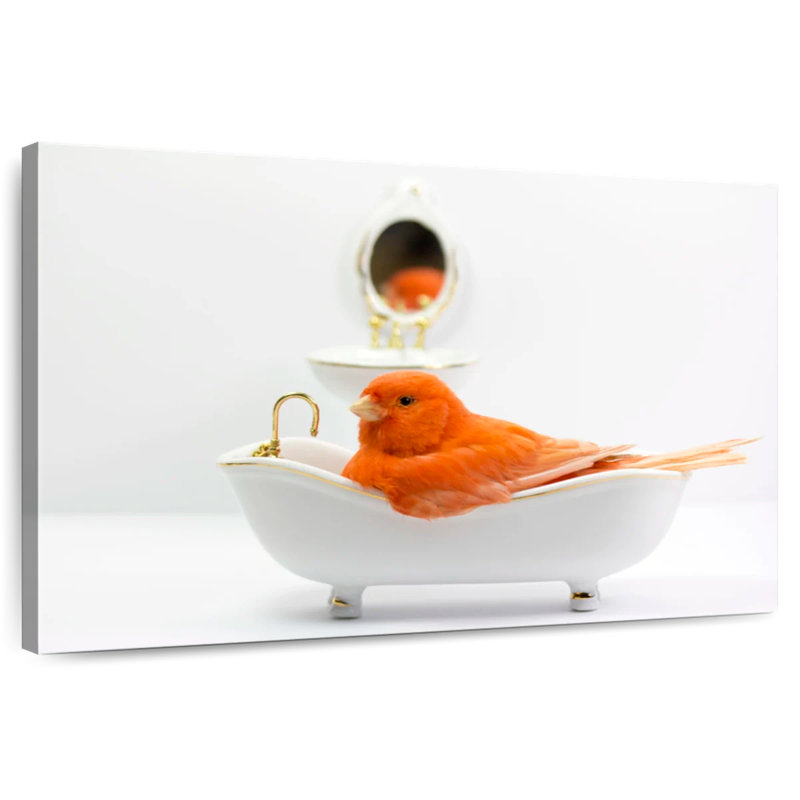 Brampt Bird Bath Time, H 20 po x l 30 po
