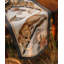 Monkey Tales Table Runner - Cotton-1447232715-1447232713