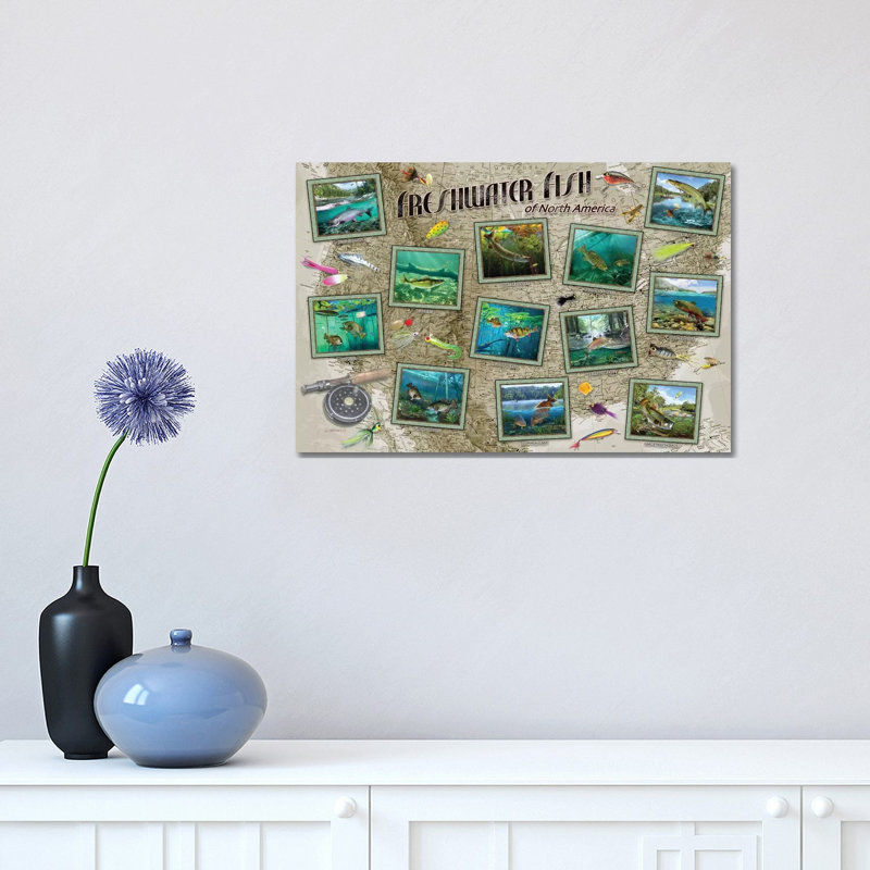 Fish Of North America - Wrapped Canvas Print, 30.48 cm H x 45.72 cm W