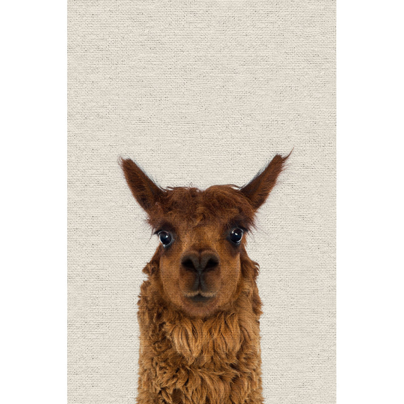 « staring llama ii », art sur toile, H 45 po x l 30 po x P 1,5 po