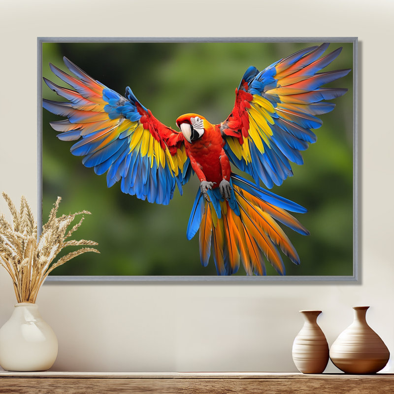 «Vibrant Macaw Flying Photo», art mural oiseau, H 24 po x l 32 po, Cadre flottant, Argent argent