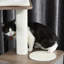 Perchoir pour chat 44 "Dilley