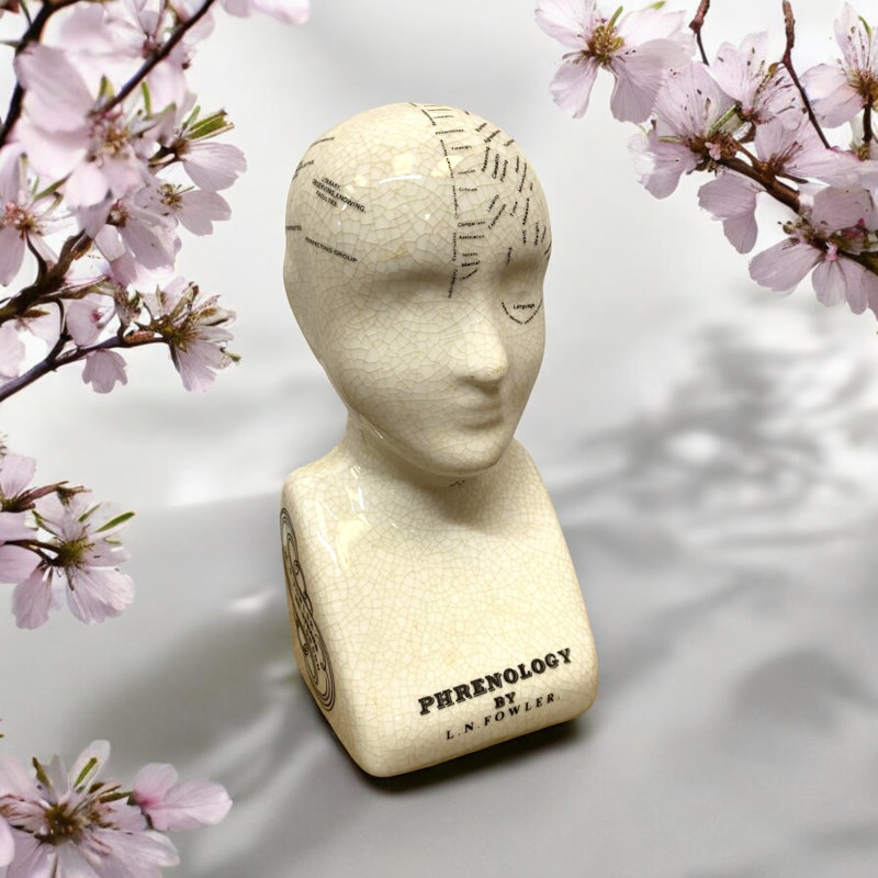 Jurnee Ceramic Phrenology Head Bust Victorian Study Ornament with Crackle Glaze Decorative Desk Sculpture