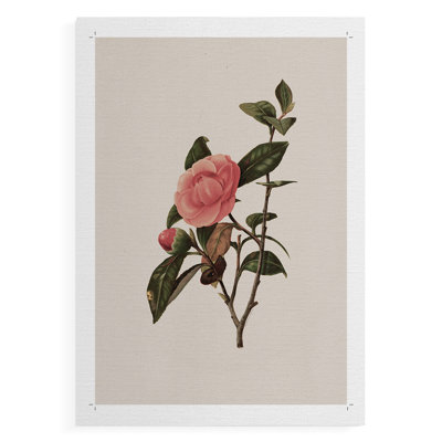Imprimé floral rétro CLXII - impression sur toile seulement - non encadrée