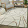 Goodrow Abstract Indoor Rug
