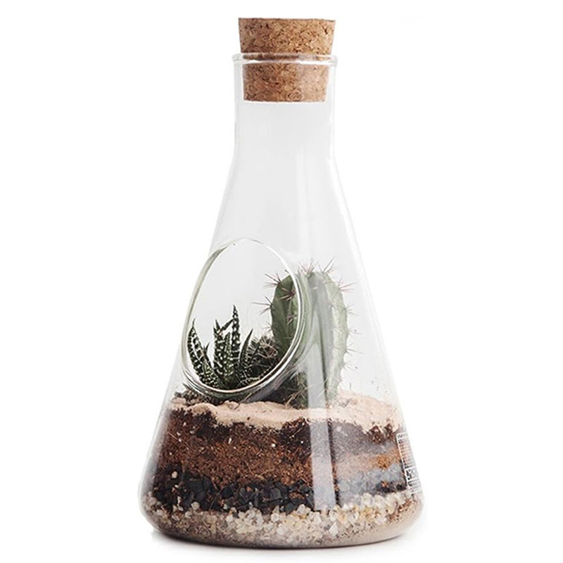 Glass Terrarium