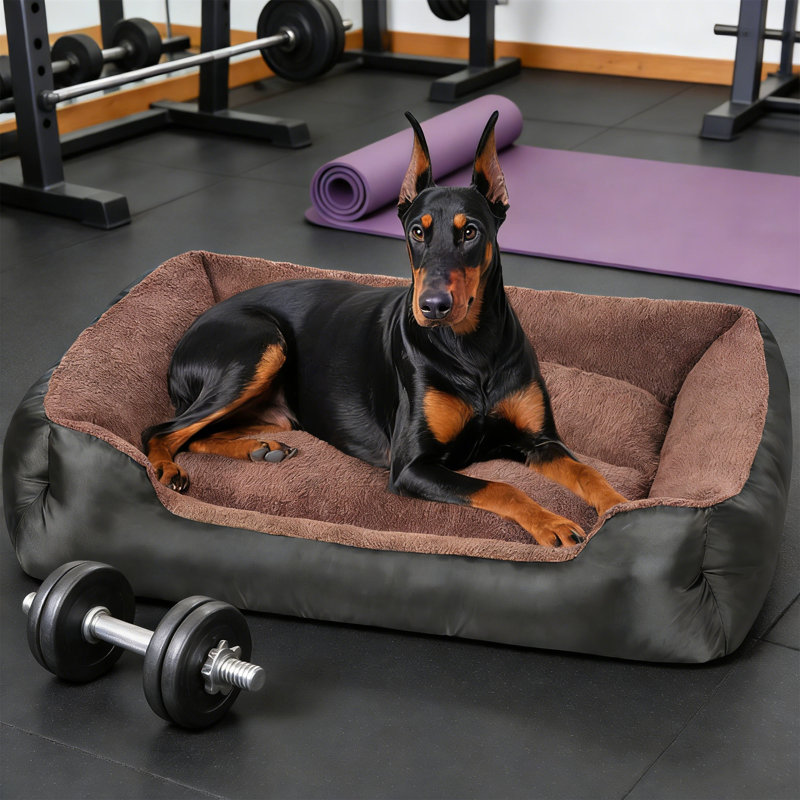Polyester Pet Bed, 22" H x 80" W x 100" D, Black