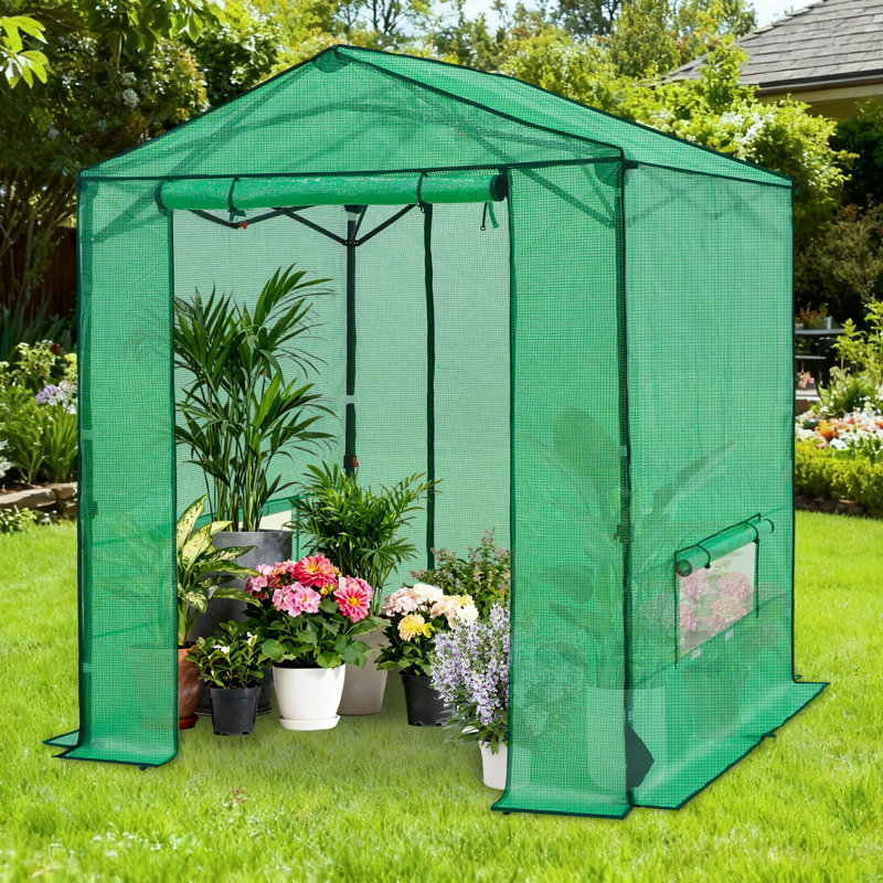 6x6 Walk-In Greenhouse, Outdoor Garden Portable Pop Up Greenhouse, 7.3' H x 6' W x 6' D