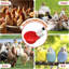 Chicken Drinking Cup 8 Pack