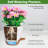 Self Watering Plant Pots Indoor-1507783043