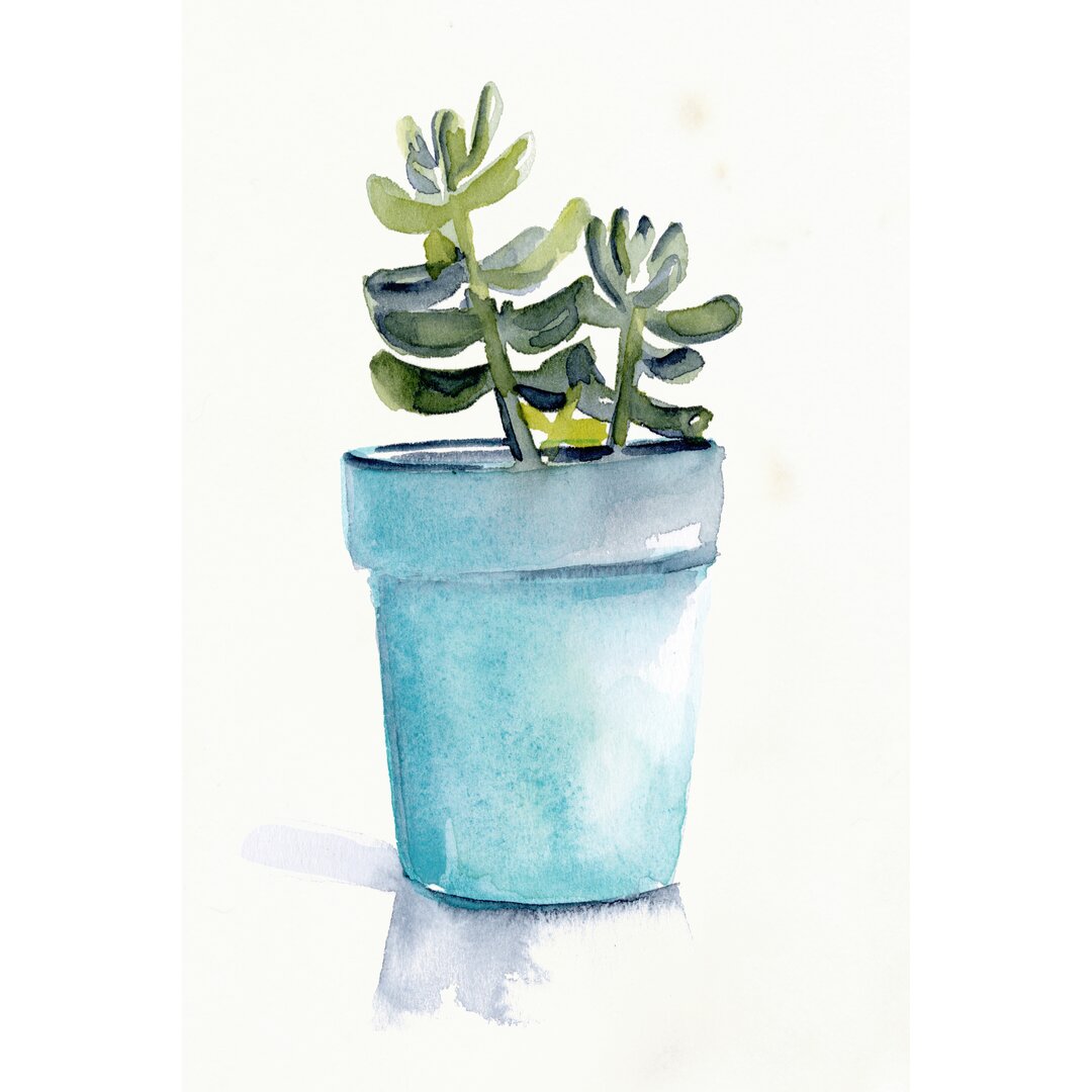 Leinwandbild Potted Succulent II von Jennifer Paxton Parker