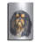 " King Charles Spaniel " by Barbara Keith-1552532471