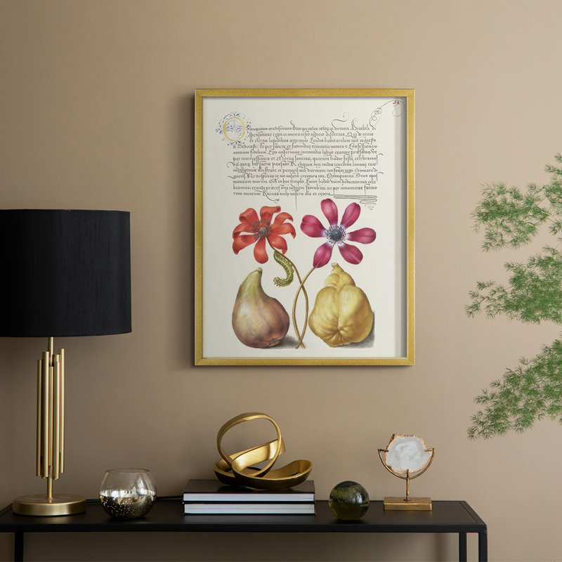 Hoefnagel Tropical Specimens VIII Framed Print - Solid Wood, 21" H x 17" W, Gold