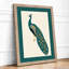 Elegant Peacock Profile Botanical - Framed Print-396442891-396442893