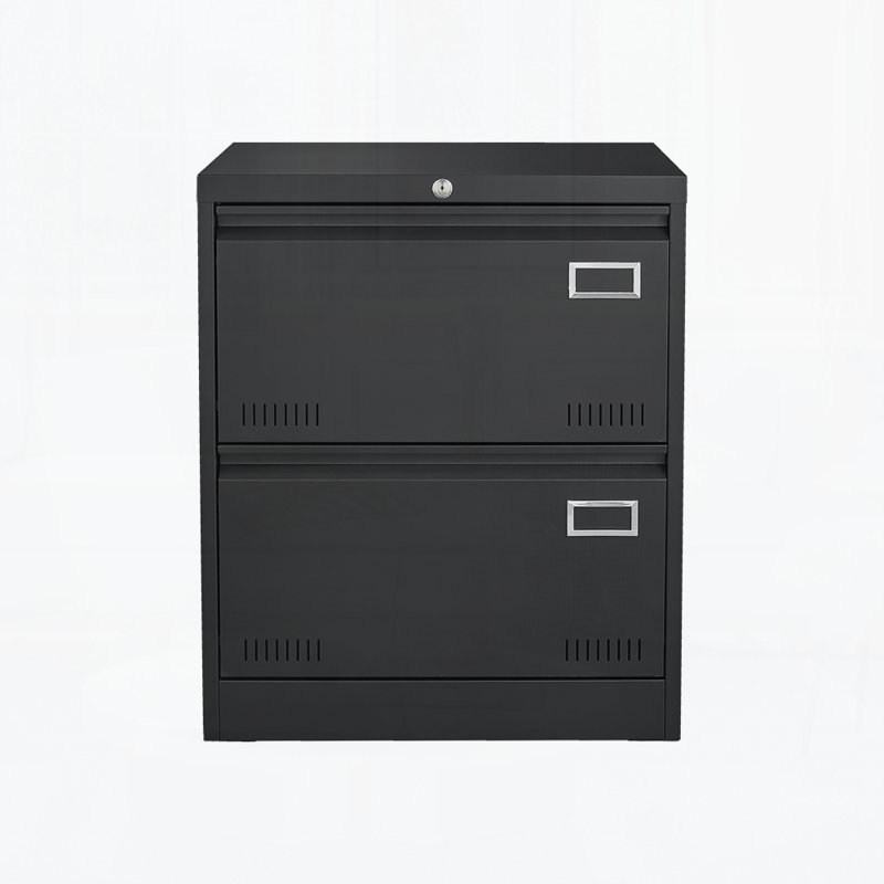 2 Drawer Metal Lateral File Cabinet with Lock,Office Vertical Files Cabinet for Home Office/Legal/Letter/A4, Black Wood
