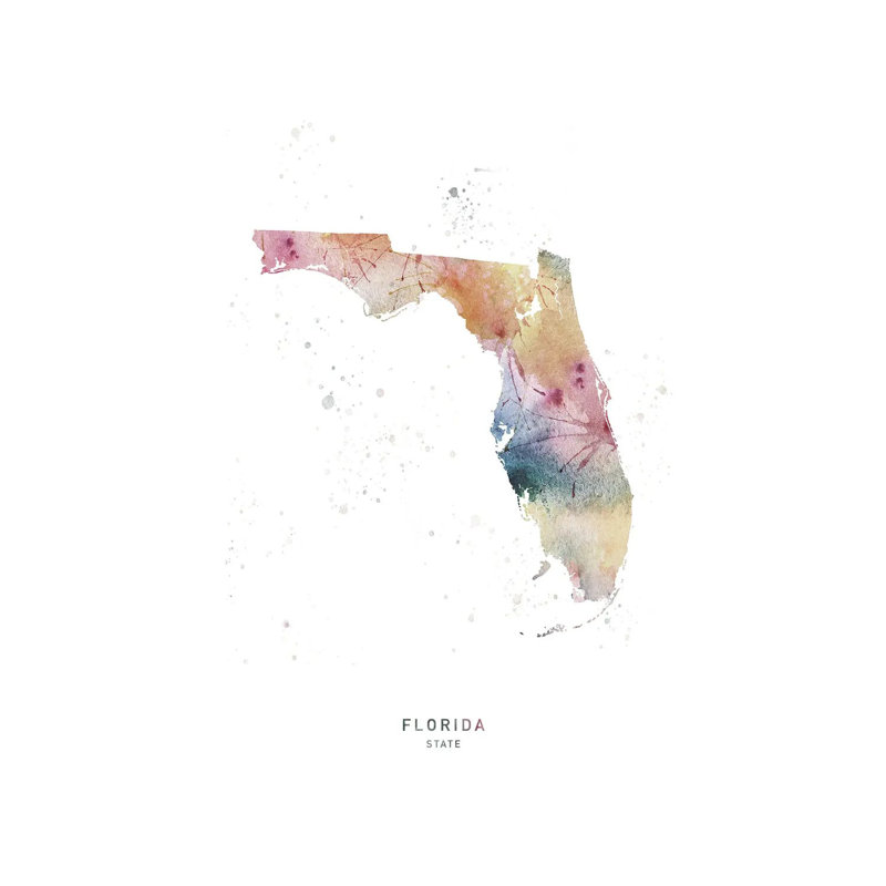 Florida State - Wrapped Canvas Painting, 66.04 cm H x 45.72 cm W