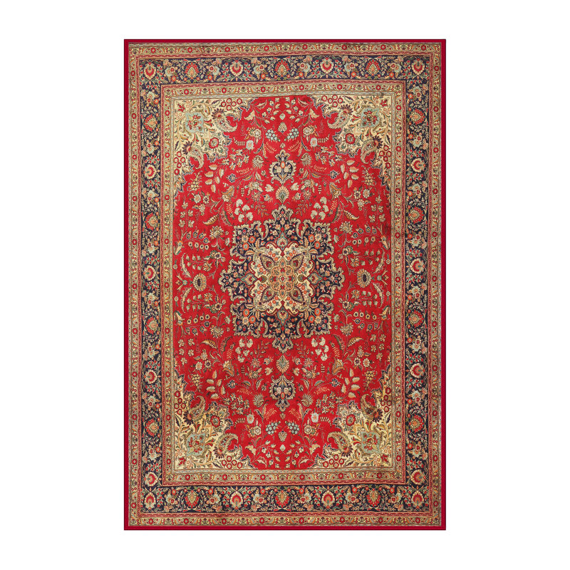 Dezra Oriental Indoor Rug, Rectangle 2' x 3'