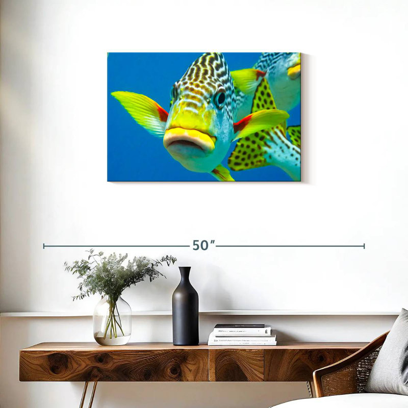 Sweetlips Close Up, 20" H x 30" W