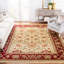 Lyndhurst Oriental Area Rug-2024066157-2019123188