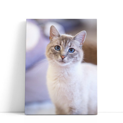 «Cute Cat», reproduction d'art sur toile