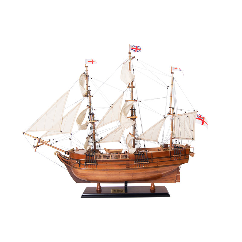 Bateau à modèle beagle