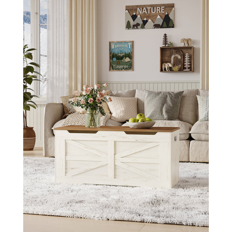 Accent Chest, White/Brown