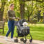 Foldable Pet Stroller