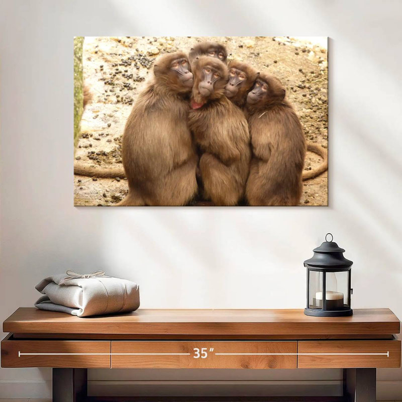 Brampt Monkey Troop, H 16 po x l 24 po