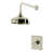 Polished Nickel