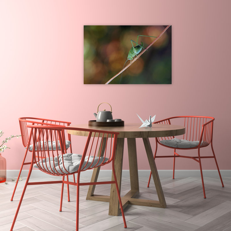 Green Grasshopper Macro Delicate Vibrant Contemporary Grasshopper Nature Plant Wall Art Print 1 Piece Wrapped Canvas Wall Art