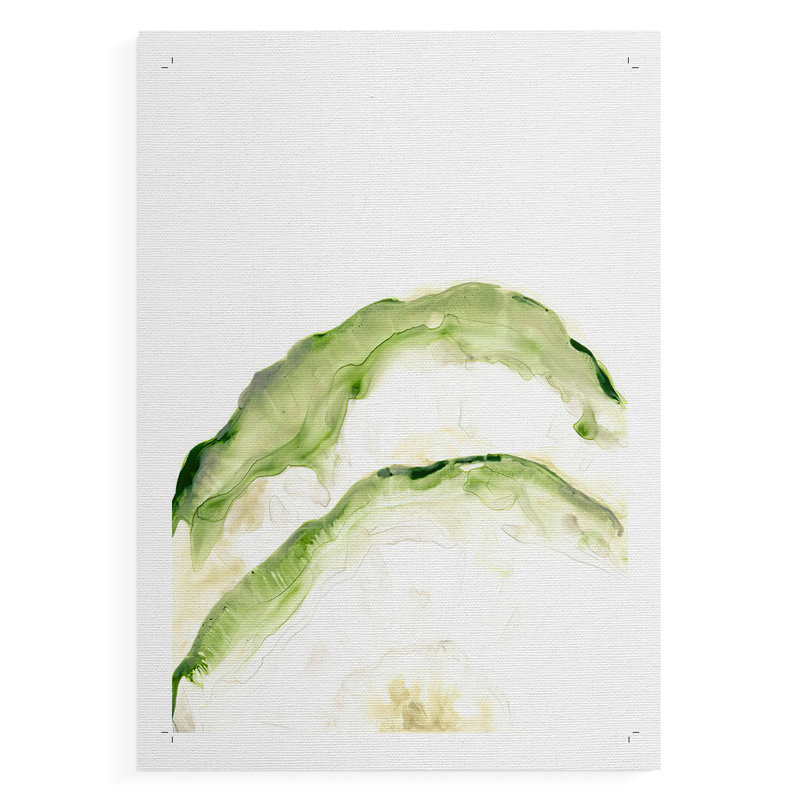 Lichen Halo II - Impression sur toile seulement - NON-CADRE, H 12 po x l 8 po