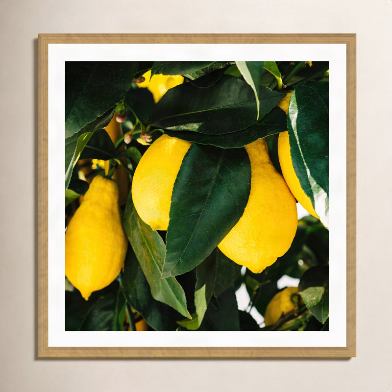 Citrons de la côte d'Amalfi, H 12 po x l 12 po x P 2 po, Cadre flottant doré, Non