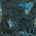 Bleu Labrodorite