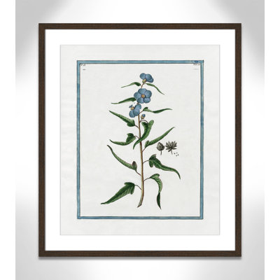 Shabby Elegance Botanical I by Kelly Donovan